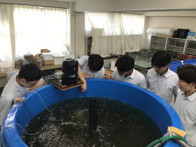 センサー取付