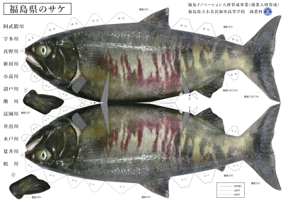 鮭ペーパークラフト(A1サイズ)_02 (1)